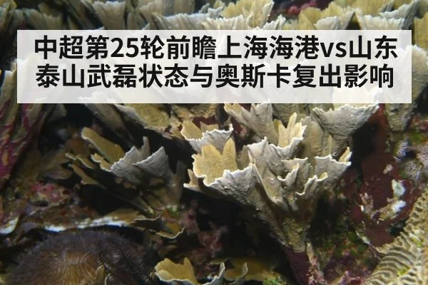 中超第25轮前瞻上海海港vs山东泰山武磊状态与奥斯卡复出影响